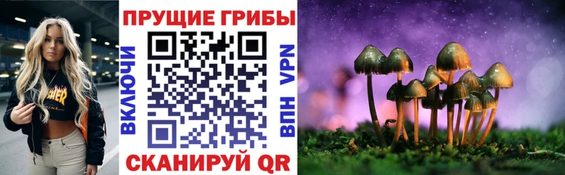 где можно купить наркотик  Верещагино  Галлюциногенные грибы прущие грибы 
